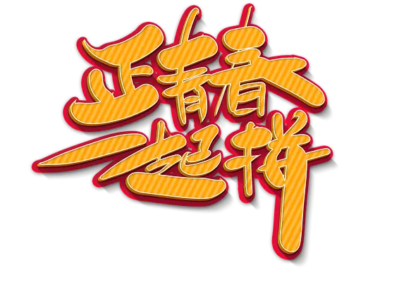 误我青春二十年 海报