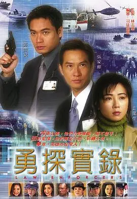 勇探实录粤语 海报
