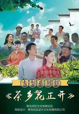 《茶乡花正开》：乡村振兴路上的甜蜜绽放，看新时代茶农的爱情与梦想！