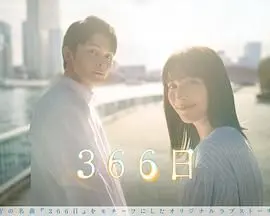 《366日》：虐恋升级？波兰版霸道总裁爱上我，狗血剧情下的真心动容