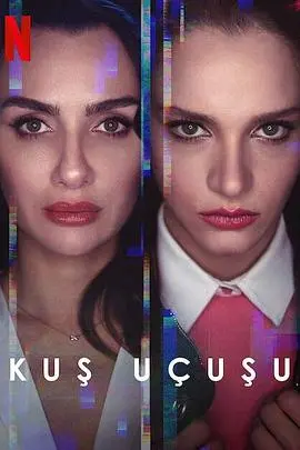 《直线篡位 第二季》：权谋斗争升级，王室血雨腥风，谁能笑到最后？